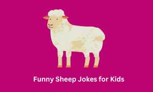 Sheep Jokes for Kids
