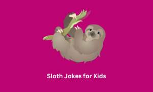 Sloth Jokes for Kids