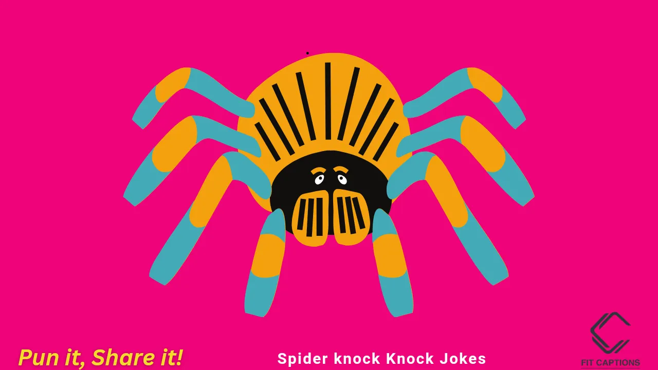 Spider Knock knock Jokes