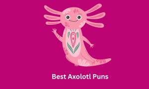 Best Axolotl Puns