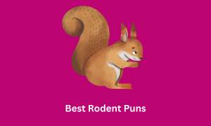 Best Rodent Puns