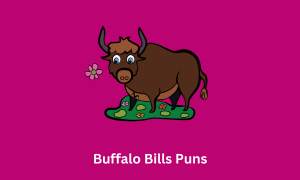 Buffalo Bills Puns