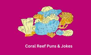 Coral Reef Puns & Jokes