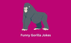 Funny Gorilla Jokes