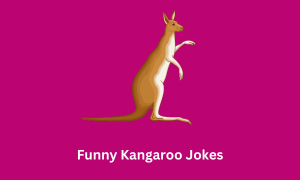 Funny Kangaroo Jokes