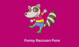 Funny Raccoon Puns
