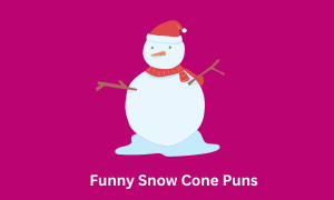 Funny Snow Cone Puns