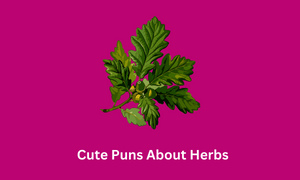 Puns About Herbs