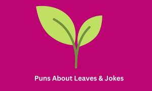 Puns About Leaves