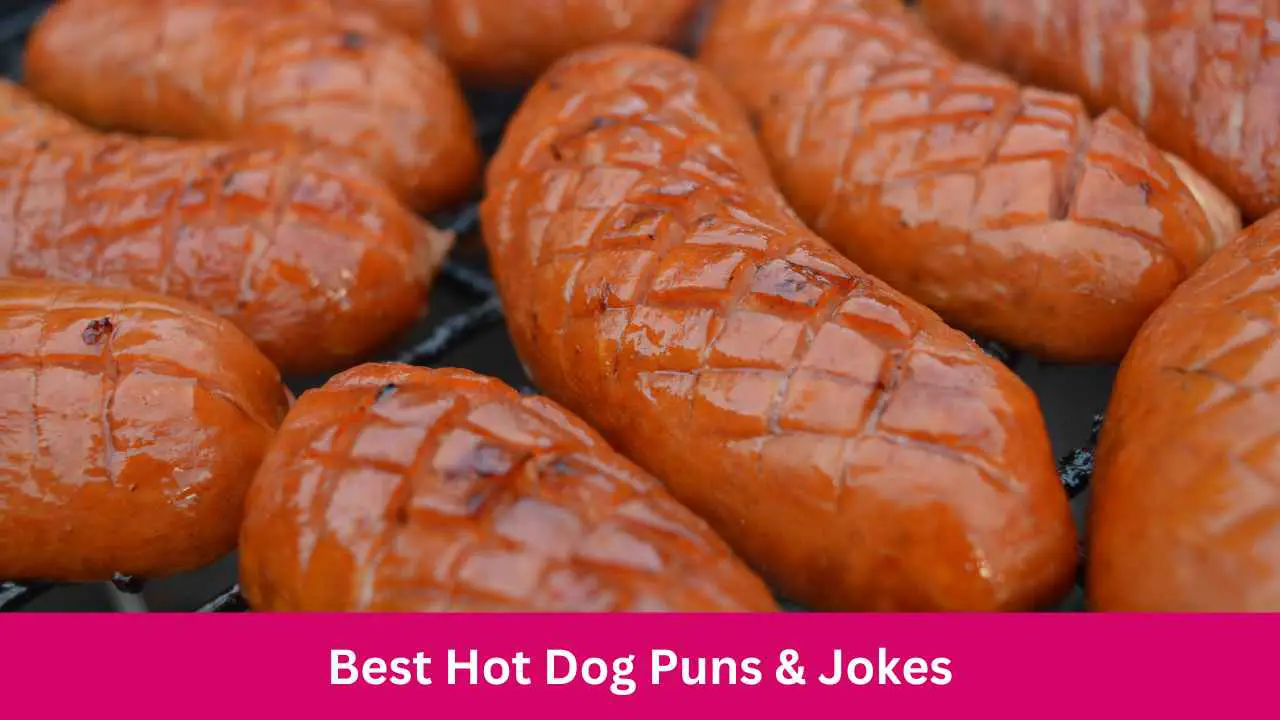 Best Hot Dog Puns
