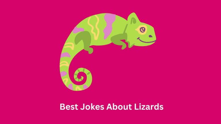 Best Jokes About Lizards