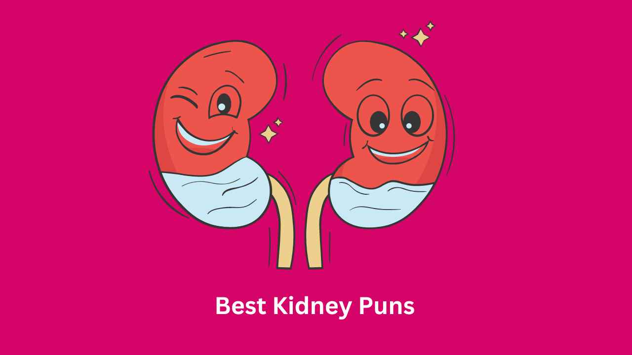 Best Kidney Puns