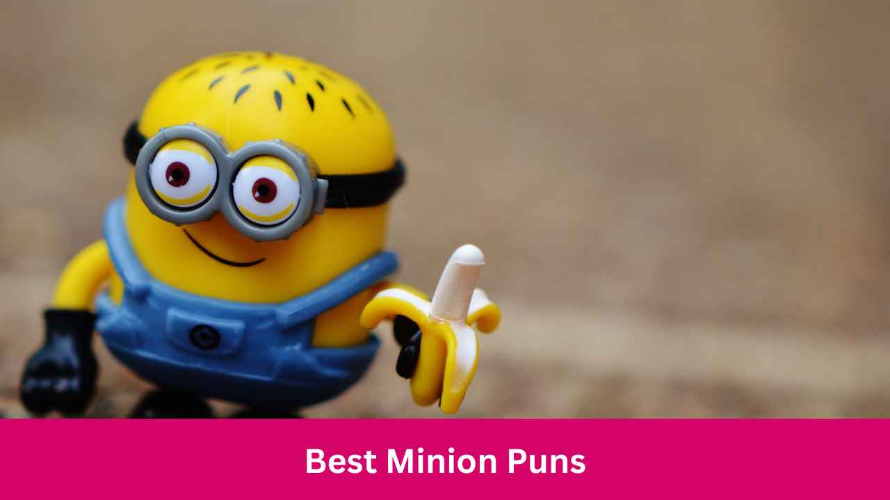 Best Minion Puns