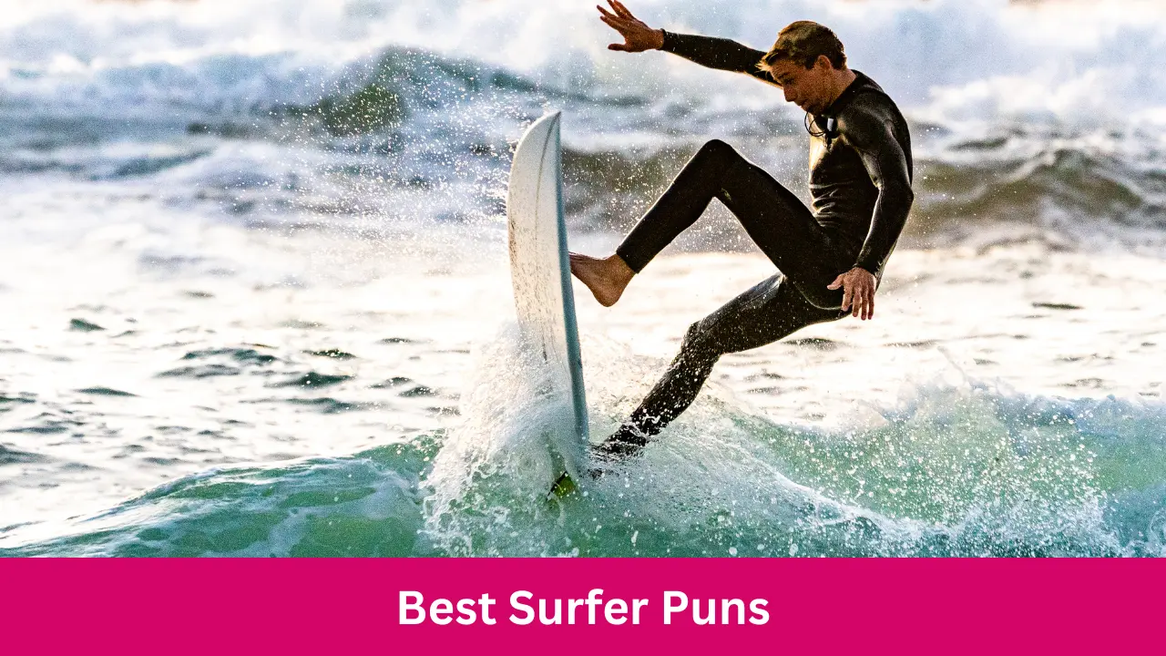 Best Surfer Puns