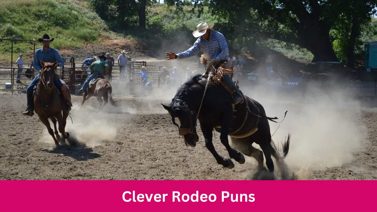 Clever-Rodeo-Puns