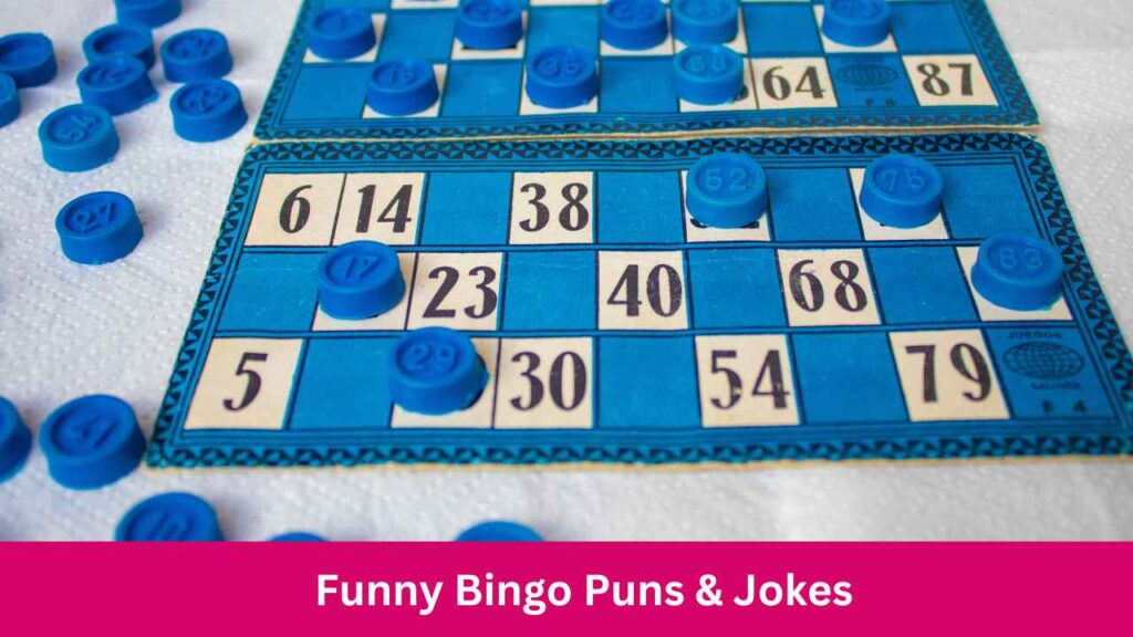 120+ Funny Bingo Puns & Jokes