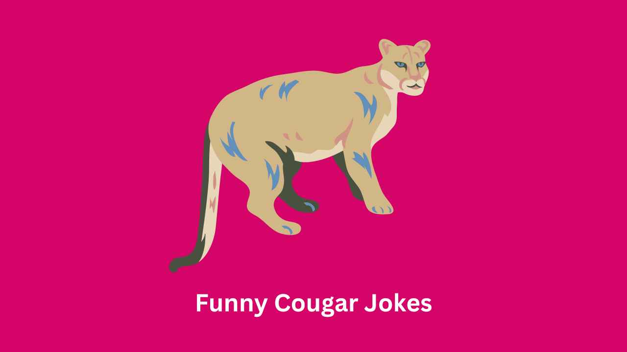 Funny Cougar Jokes