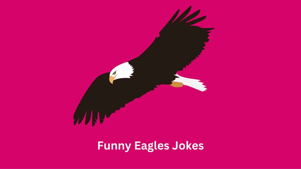 Funny Eagles Jokes