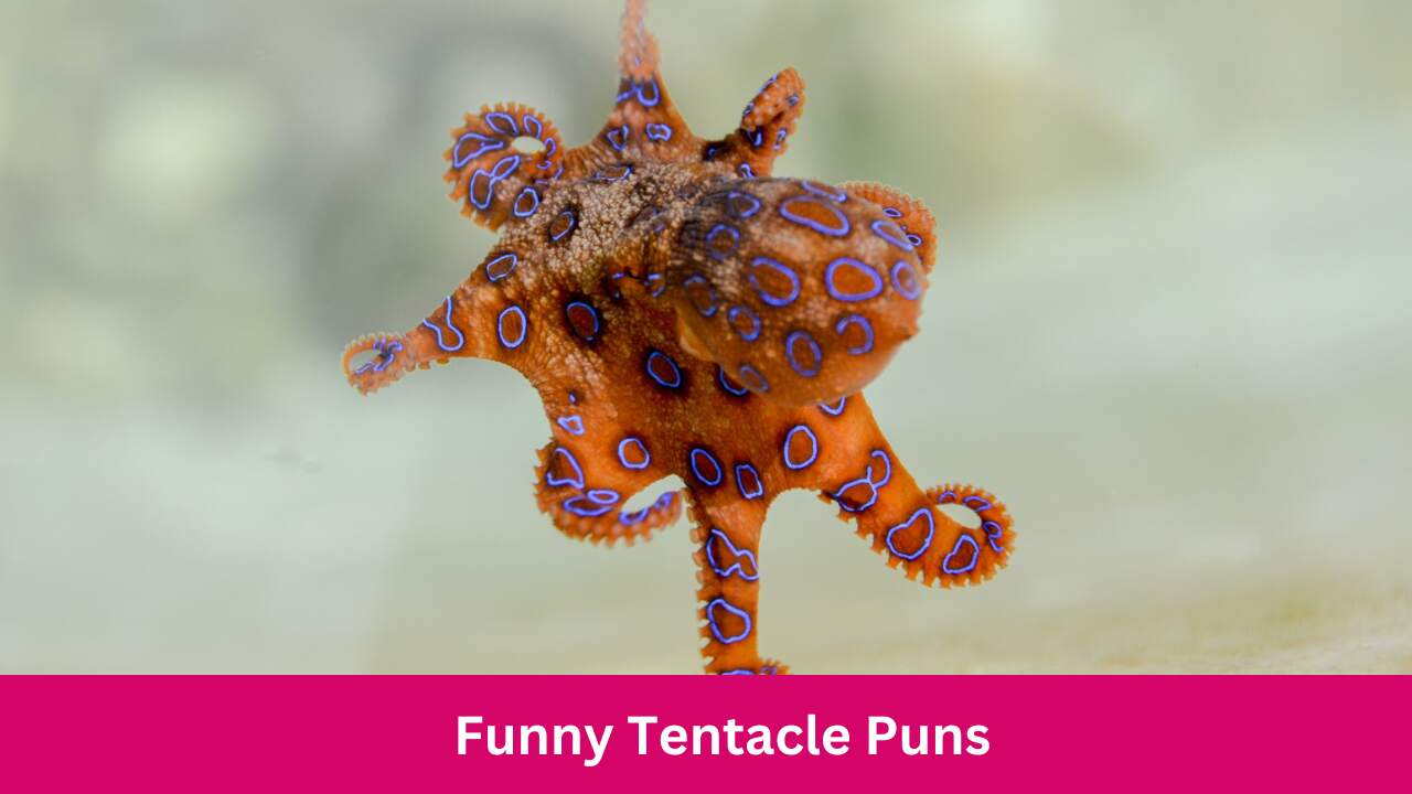 Funny Tentacle Puns