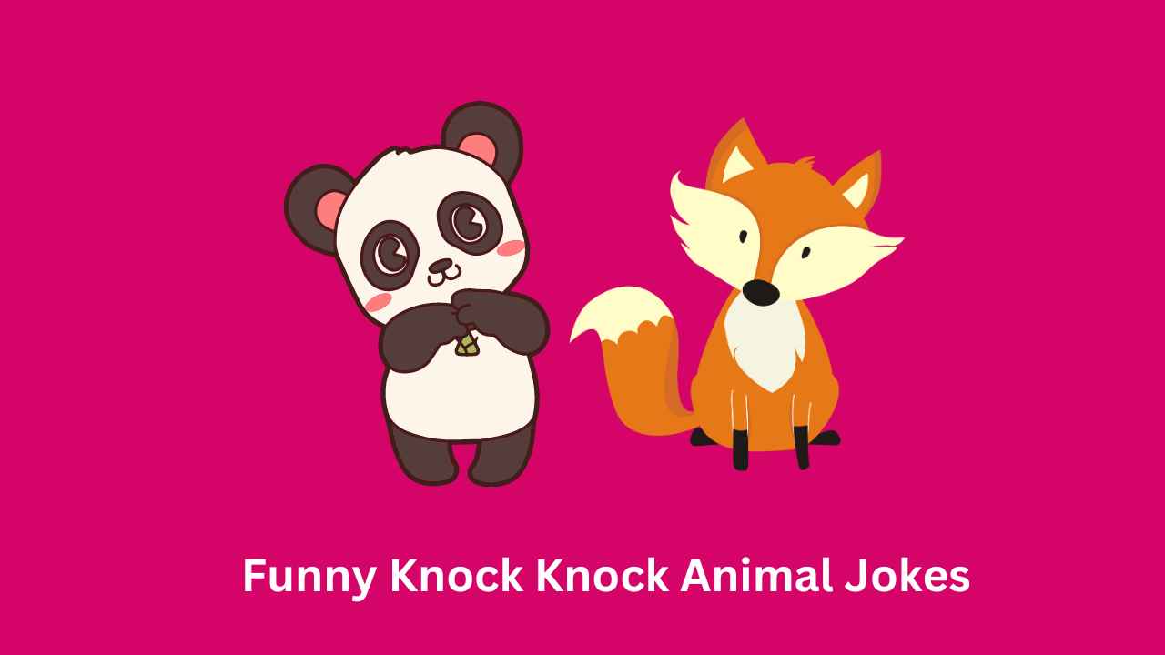 Knock Knock Animal Jokes