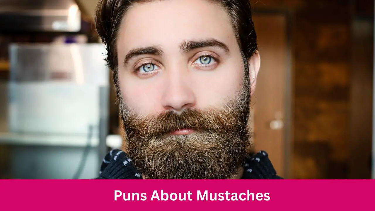 Puns About Mustaches