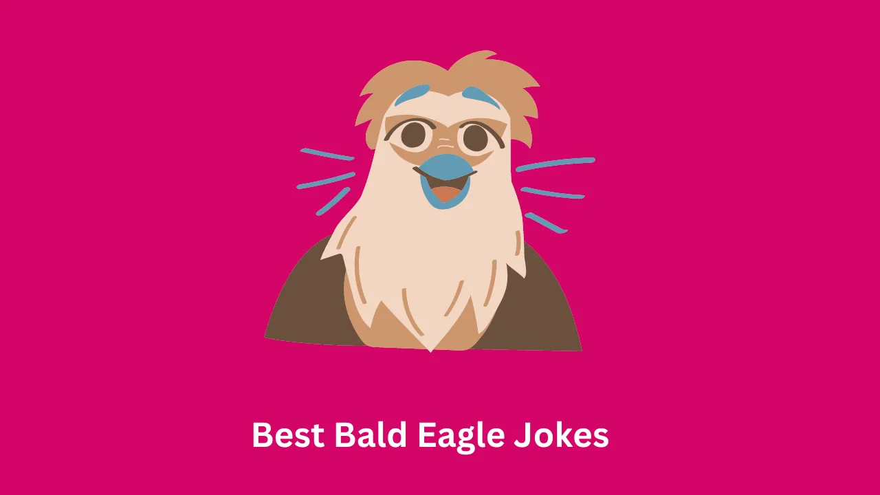 Best Bald Eagle Jokes