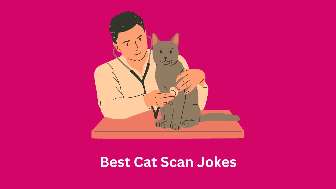 Best Cat Scan Jokes