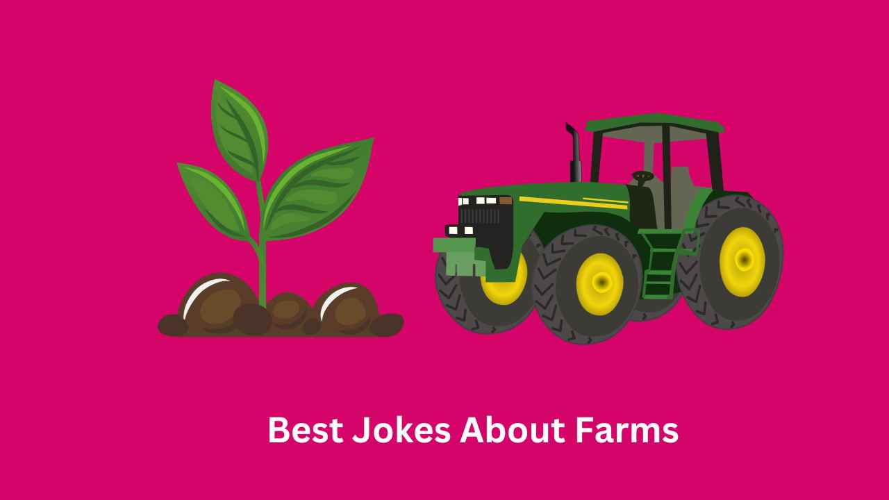 Best Jokes About Farms