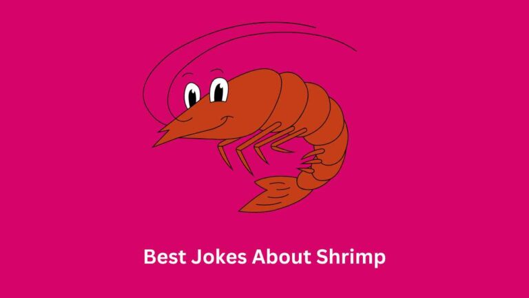 Best Jokes About Shrimp