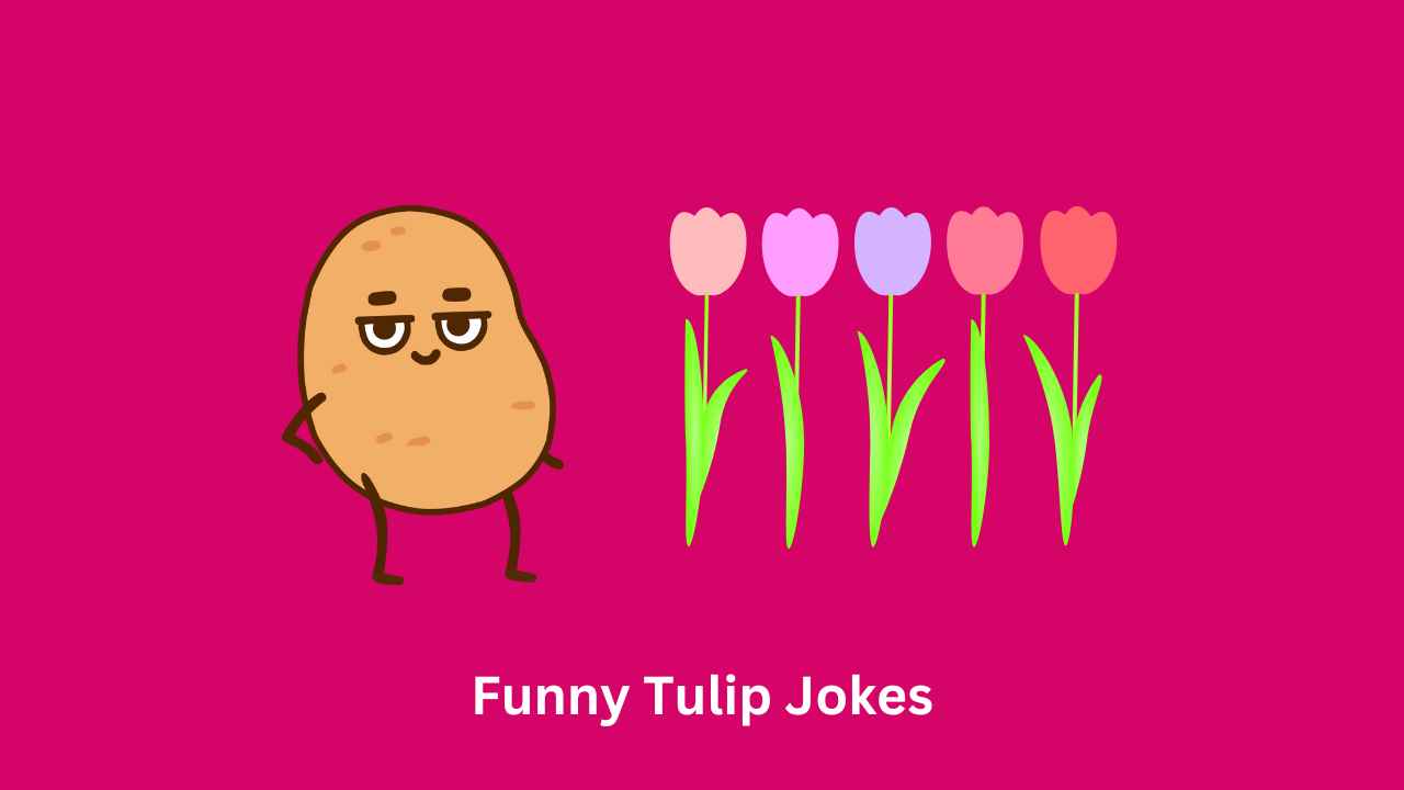 Funny Tulip Jokes