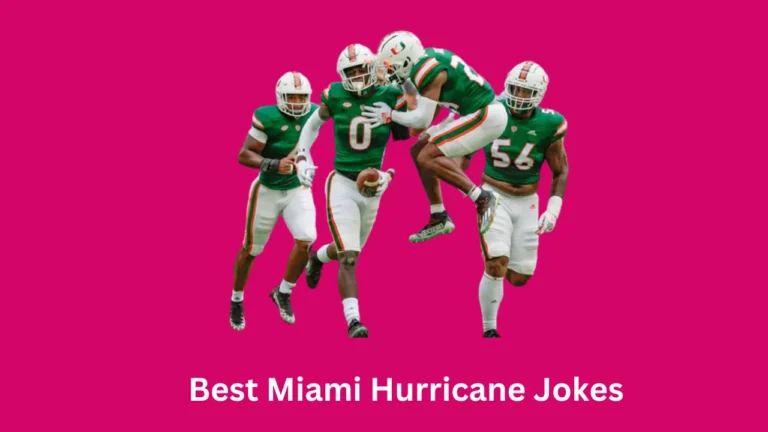 Best Miami Hurricane Jokes