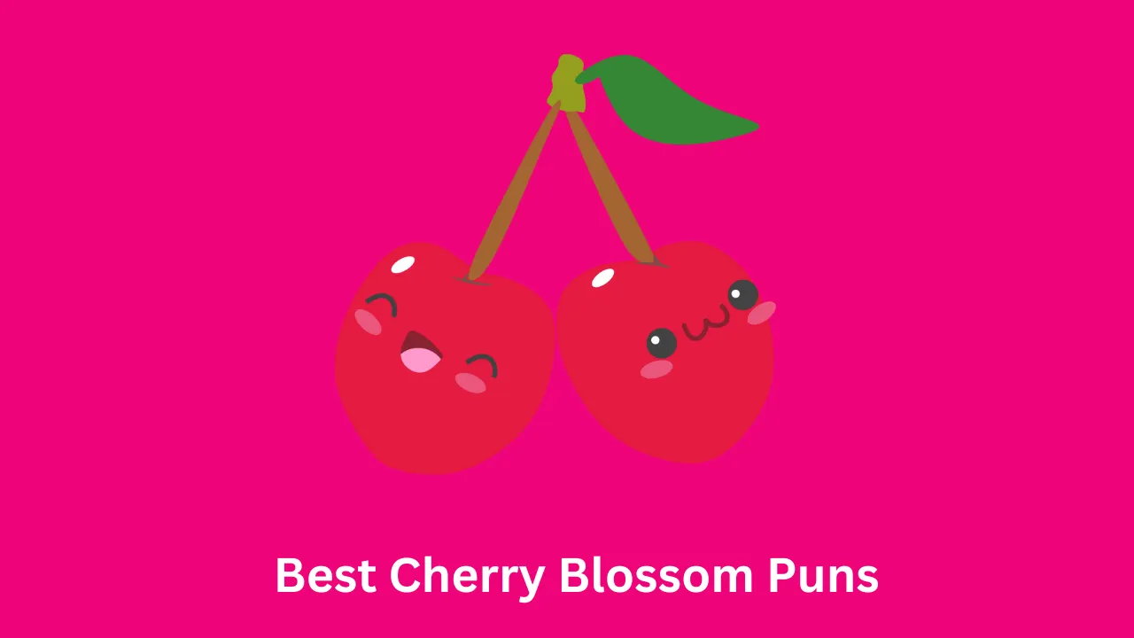 Best Cherry Blossom Puns 