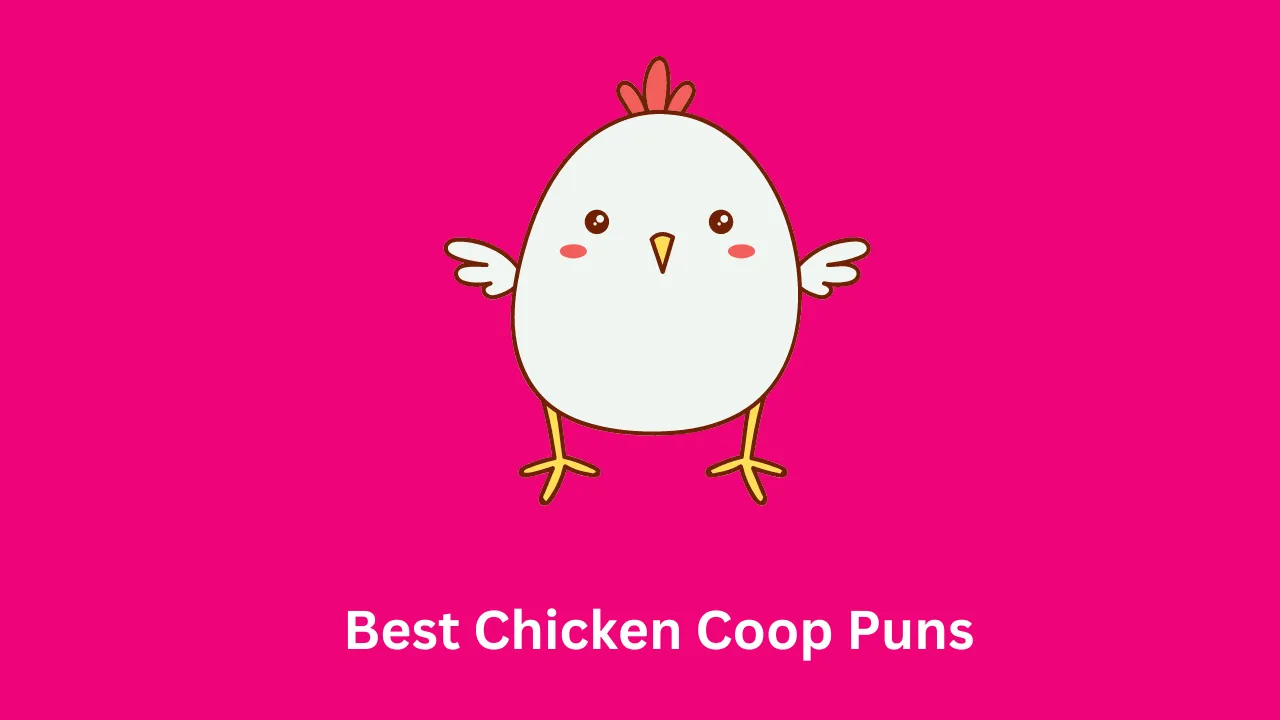 Best Chicken Coop Puns