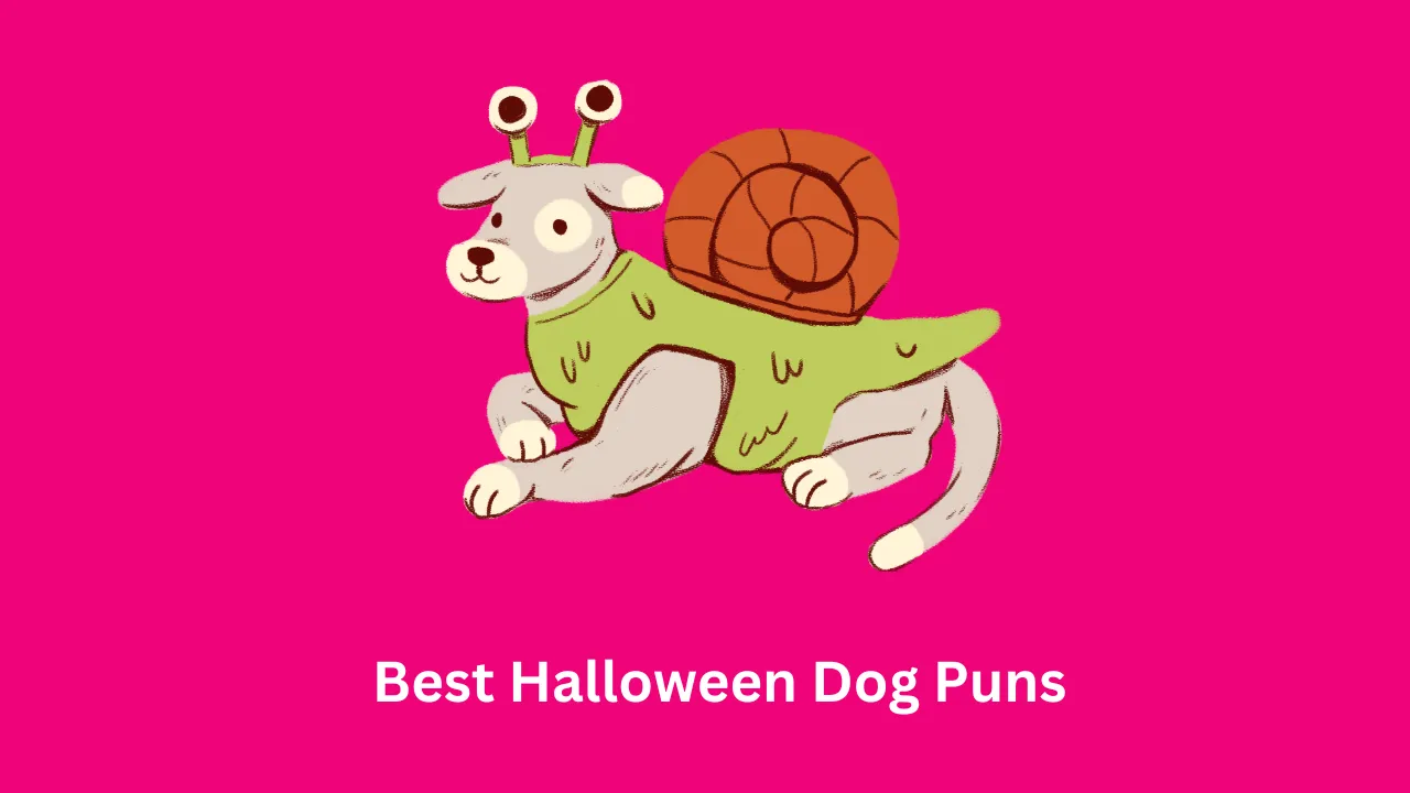 Best Halloween Dog Puns