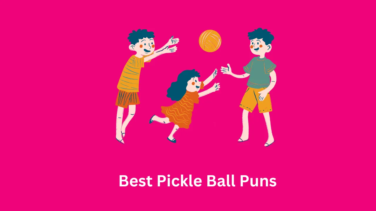 Best Pickle Ball Puns