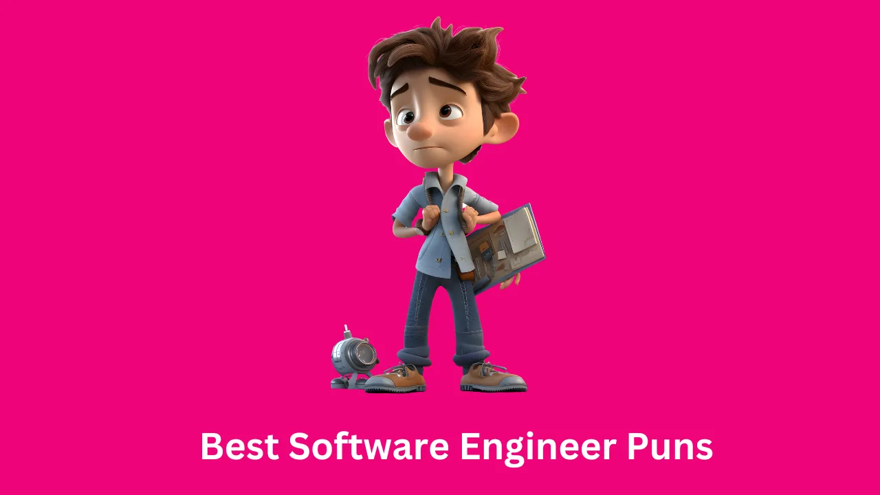 Best Software Engineer Puns