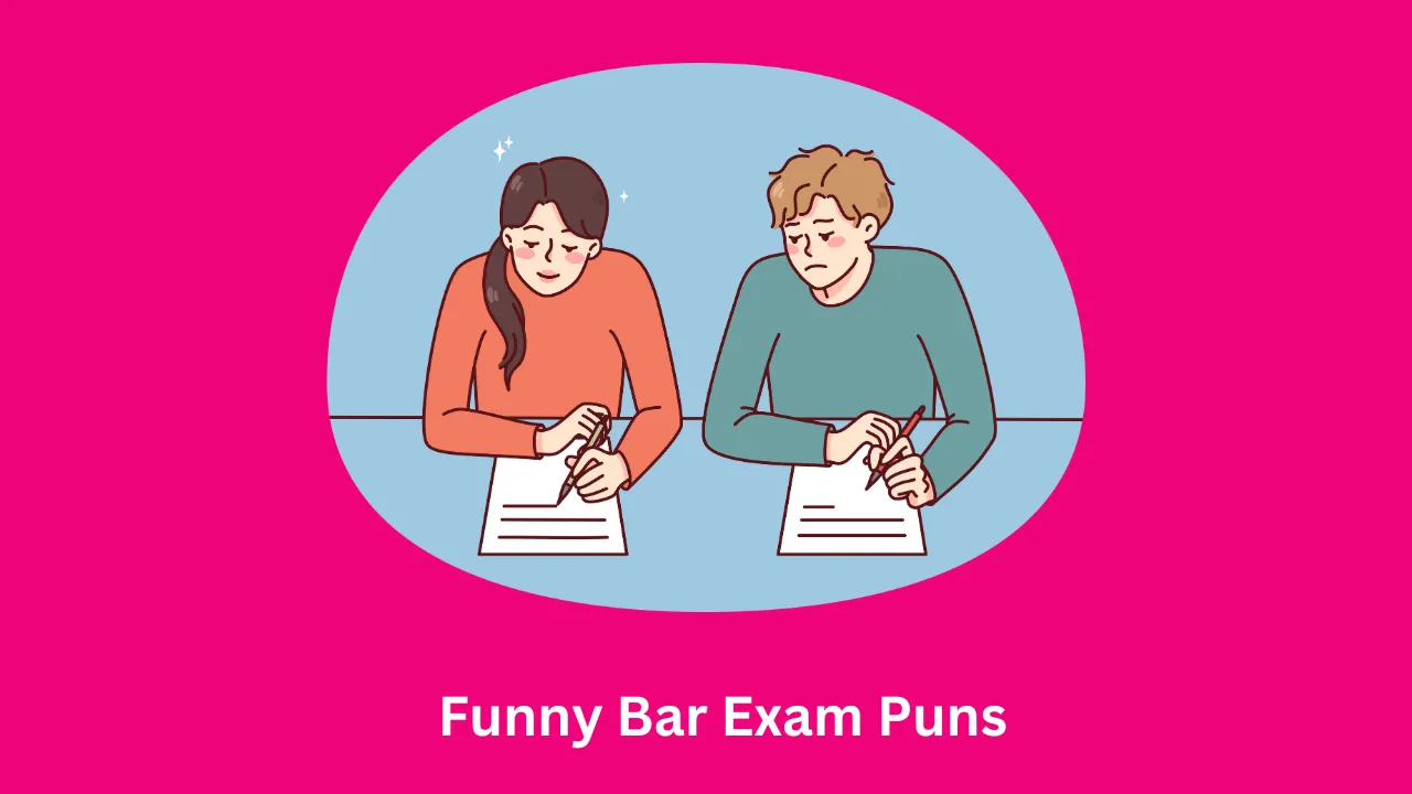 Funny Bar Exam Puns