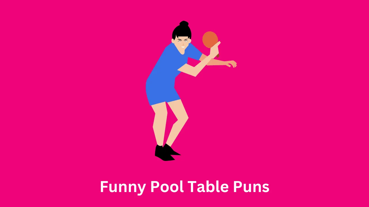 Funny Pool Table Puns