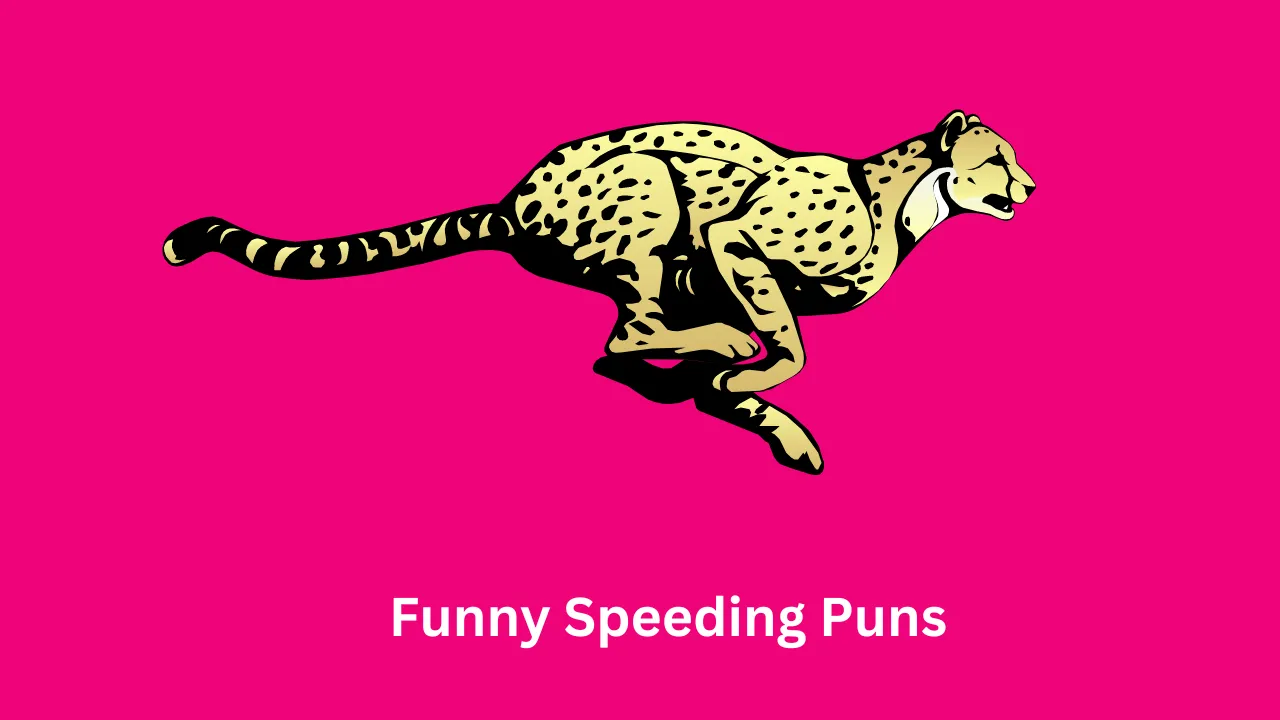 Funny Speeding Puns