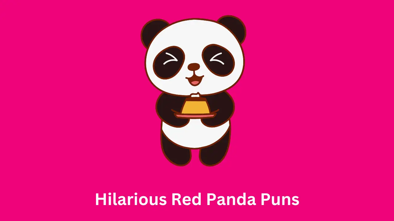 Hilarious Red Panda Puns
