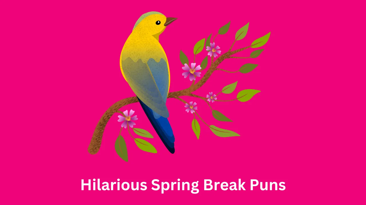 Hilarious Spring Break Puns