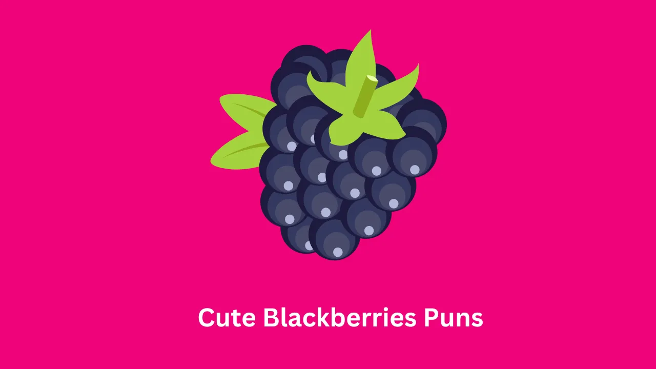 Blackberries Puns 