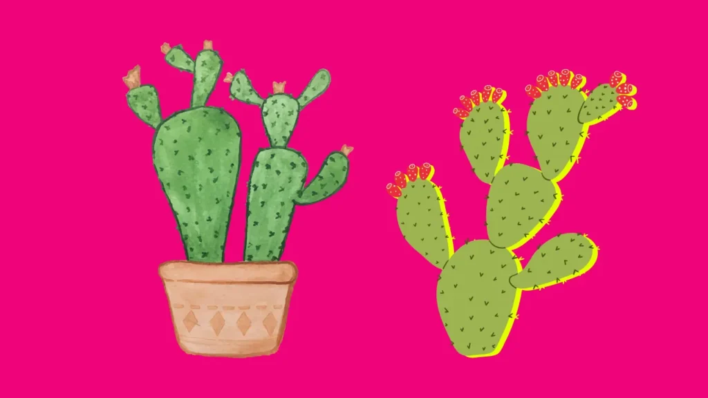 Cactus Jokes One liners 