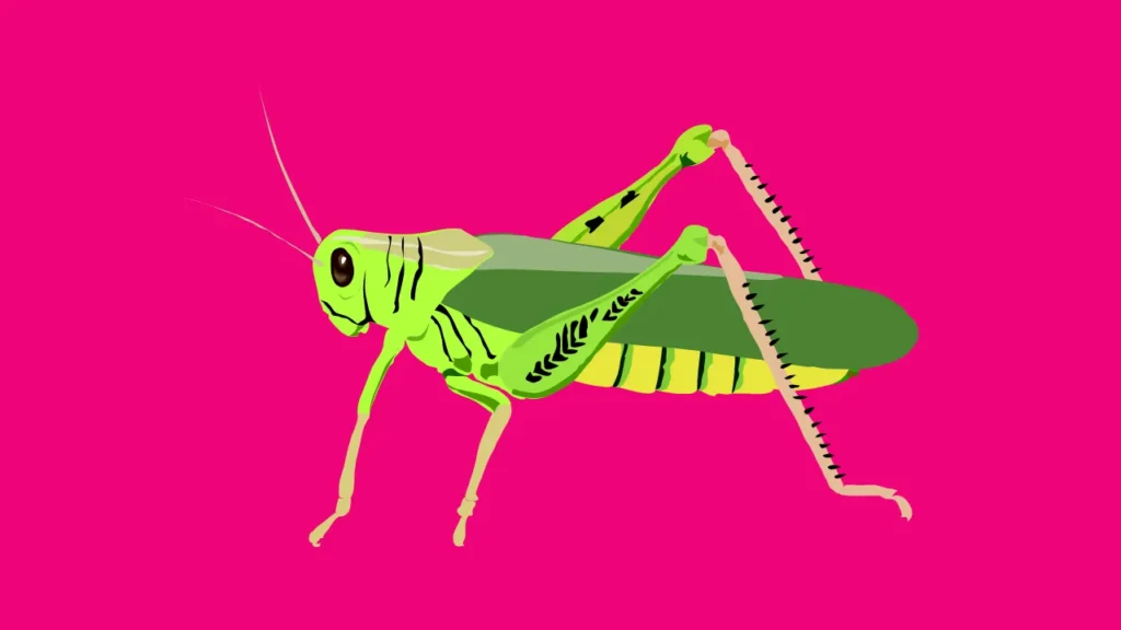 Grasshopper Puns Captions