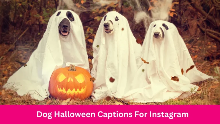Dog Halloween Captions For Instagram