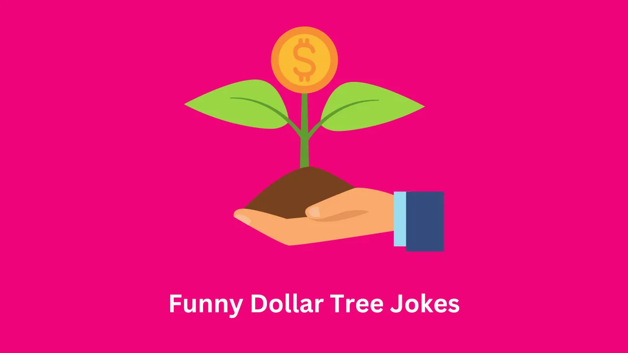 Funny Dollar Tree Jokes