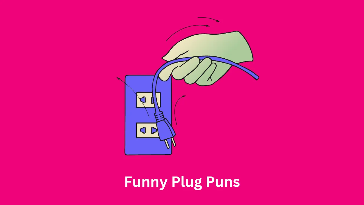 Funny Plug Puns