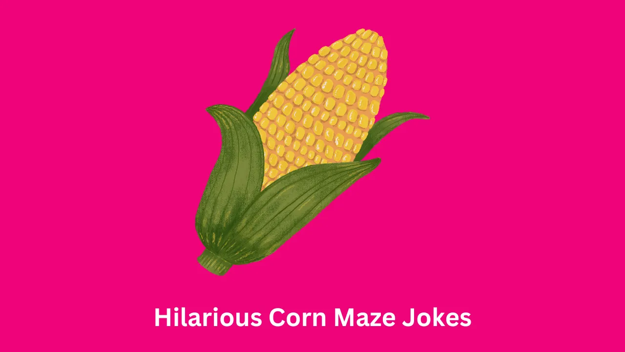 Hilarious Corn Maze Jokes