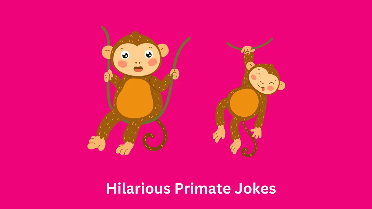 Hilarious Primate Jokes