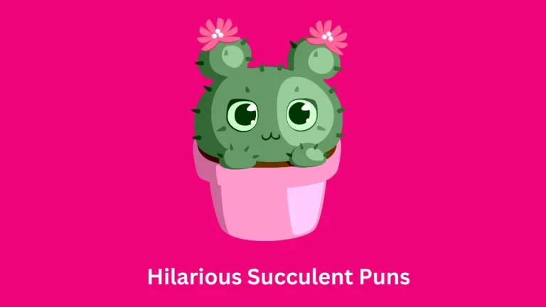 Hilarious Succulent Puns